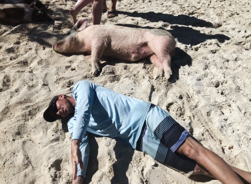 Kevin lying on the sand next to a swimming pig